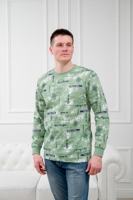 Свитшот мужской из футера 2-х нитка с начесом фисташка