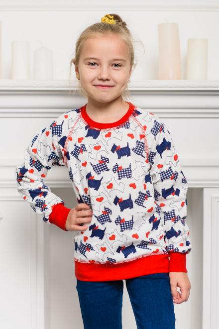 Свитшот детский из футера с начесом Герман собачки