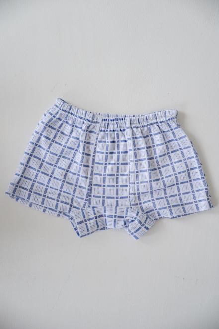 Трусы детские Боксеры голубая клетка