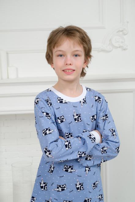 Пижама подростковая из джемпера и брюк из кулирки Коровы голубой Пижама подростковая из джемпера и брюк из кулирки Коровы голубой